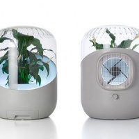 Professor e designer francês desenvolve purificador de ar à base de plantas, sem qualquer método químico