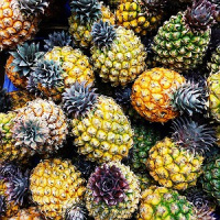 Você sabia que, por exemplo, a casca do abacaxi possui mais fibras que a polpa?