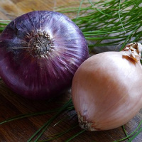 Cebola e milho são alguns dos alimentos que apresentam baixa quantidade de agrotóxicos