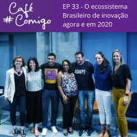 33 - O ecossistema brasileiro de inovação agora e em 2020. 