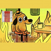 Guanabara Conection - 012 - Amazônia em chamas