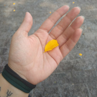 Ep. 03 - Pratique a Empatia