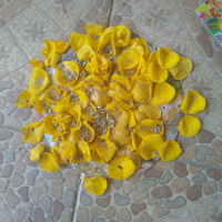 Ep. 04 - Como preparar chá, banhos e escalda pés