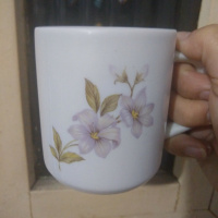 Ep. 05 - Chá de Funcho e a intuição