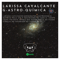 Larissa Cavalcante G-astro-química 