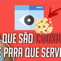 O QUE SÃO COOKIES E QUAL SUA FUNÇÃO