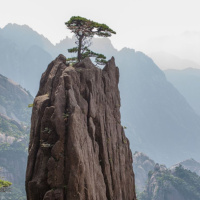 Lua Cheia em Capricórnio 