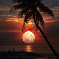 Lua Cheia em Peixes2 de setembro de 2020