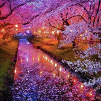 Lua Nova em Peixes 23 de fevereiro de 2020