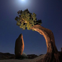 Lua Cheia em Capricórnio 