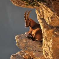 Lua Cheia em Capricórnio 