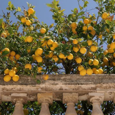 Podcasts Sobre Astrologia