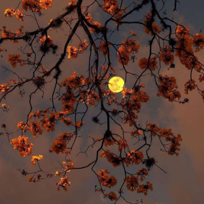 Podcasts Sobre Astrologia