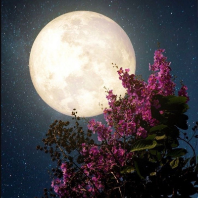 Podcasts Sobre Astrologia