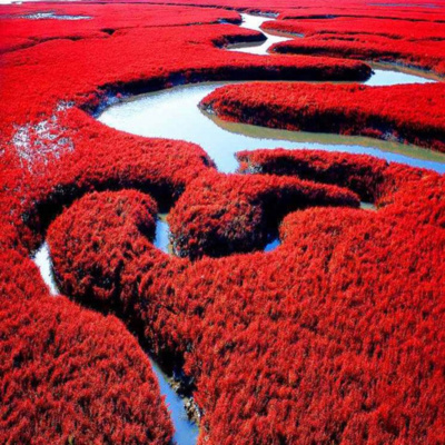 Podcasts Sobre Astrologia