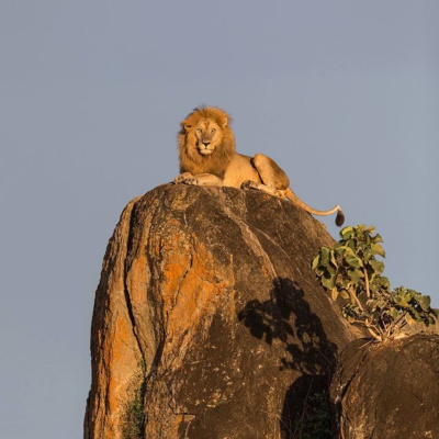 Podcasts Sobre Astrologia