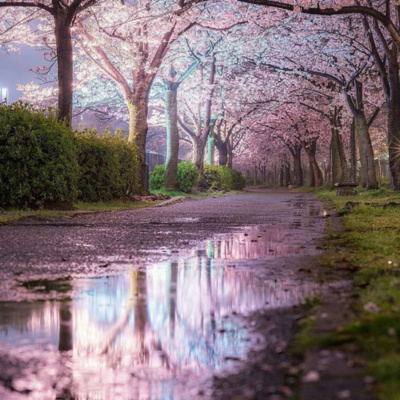 Podcasts Sobre Astrologia