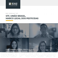 STF, União Brasil, Marco Legal dos Pesticidas
