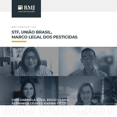 Bmj Consultoria