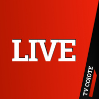 LIVE: AS PRINCIPAIS NOTÍCIAS DO DIA