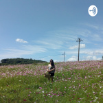 O Caminho do Artista