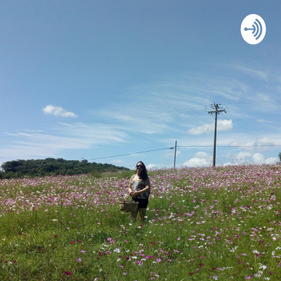 O Caminho do Artista