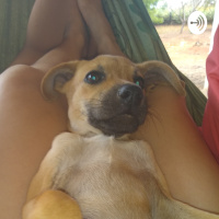 O Silmarillion (Trailer)