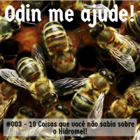 Odin me Ajude #003 - 10 Coisas que você não sabia sobre o Hidromel