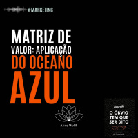 Matriz de Valor: aplicação do Oceano Azul