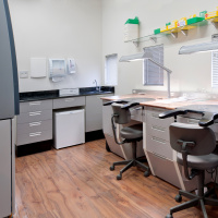 Episódio 50 - Laboratório de Sucesso