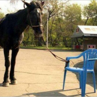 Episódio 16 - Crenças Limitantes