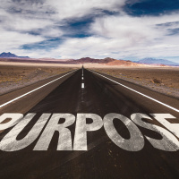 PPV Show # 11 - Propósito: se você já tem, não ouça! Se você ainda não tem o seu, inspire-se!