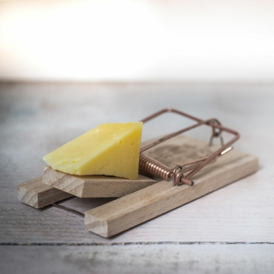 Paixão por Vendas Show