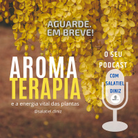 Aromaterapia e a energia vital das plantas