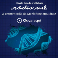 Cavalo Crioulo em Debate #168 - A transmissão da Morfofuncionalidade