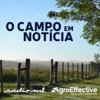 Programa - O Campo em Notícia 03 08 2024