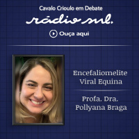 Cavalo Crioulo em Debate - Encefaliomelite Viral Equina