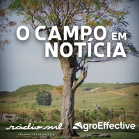 Programa O Campo em Notícia 04 07 2026