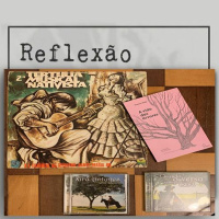 Programa Reflexão - Árvores