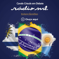 Cavalo Crioulo em Debate - Intercambio com Zeca Macedo, Juampi Gonzales e German Barale