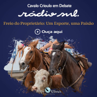 Cavalo Crioulo Em Debate - Freio Do Proprietário Um Esporte, Uma Paixão