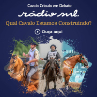 Cavalo Crioulo Em Debate - Qual Cavalo Estamos Construindo