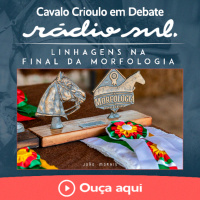 Linhagens na Final da Morfologia - Cavalo Crioulo em Debate #215