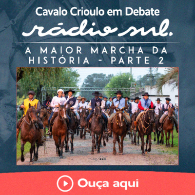 Radiosul.net