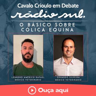 Radiosul.net