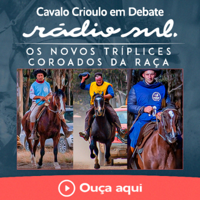 Radiosul.net