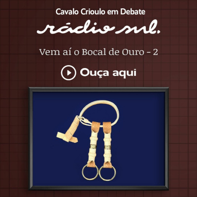 Radiosul.net