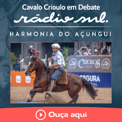Radiosul.net