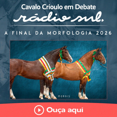 Radiosul.net