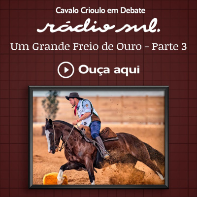 Radiosul.net